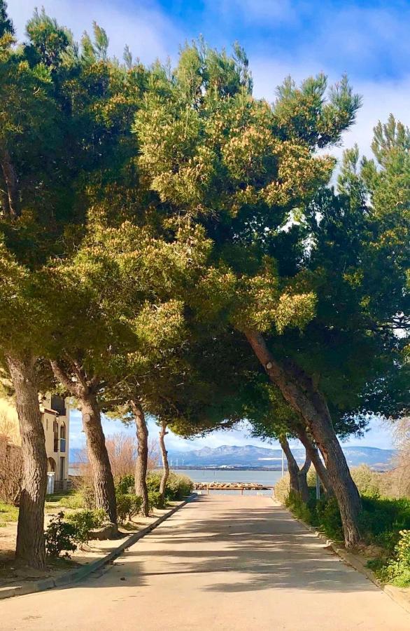 Elégant appartement vue mer wifi parking Le Barcarès Esterno foto